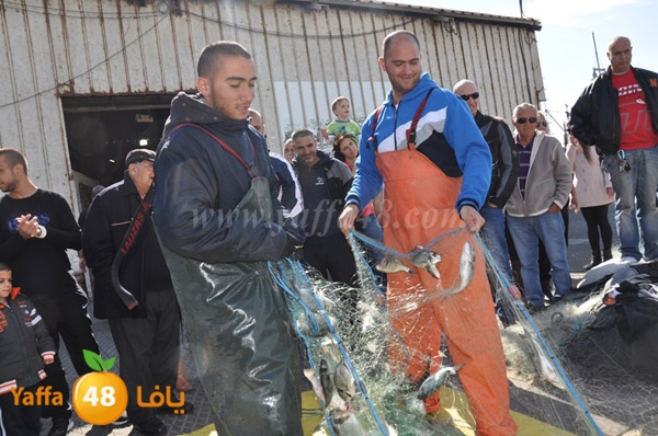 samak denisss (33).JPG